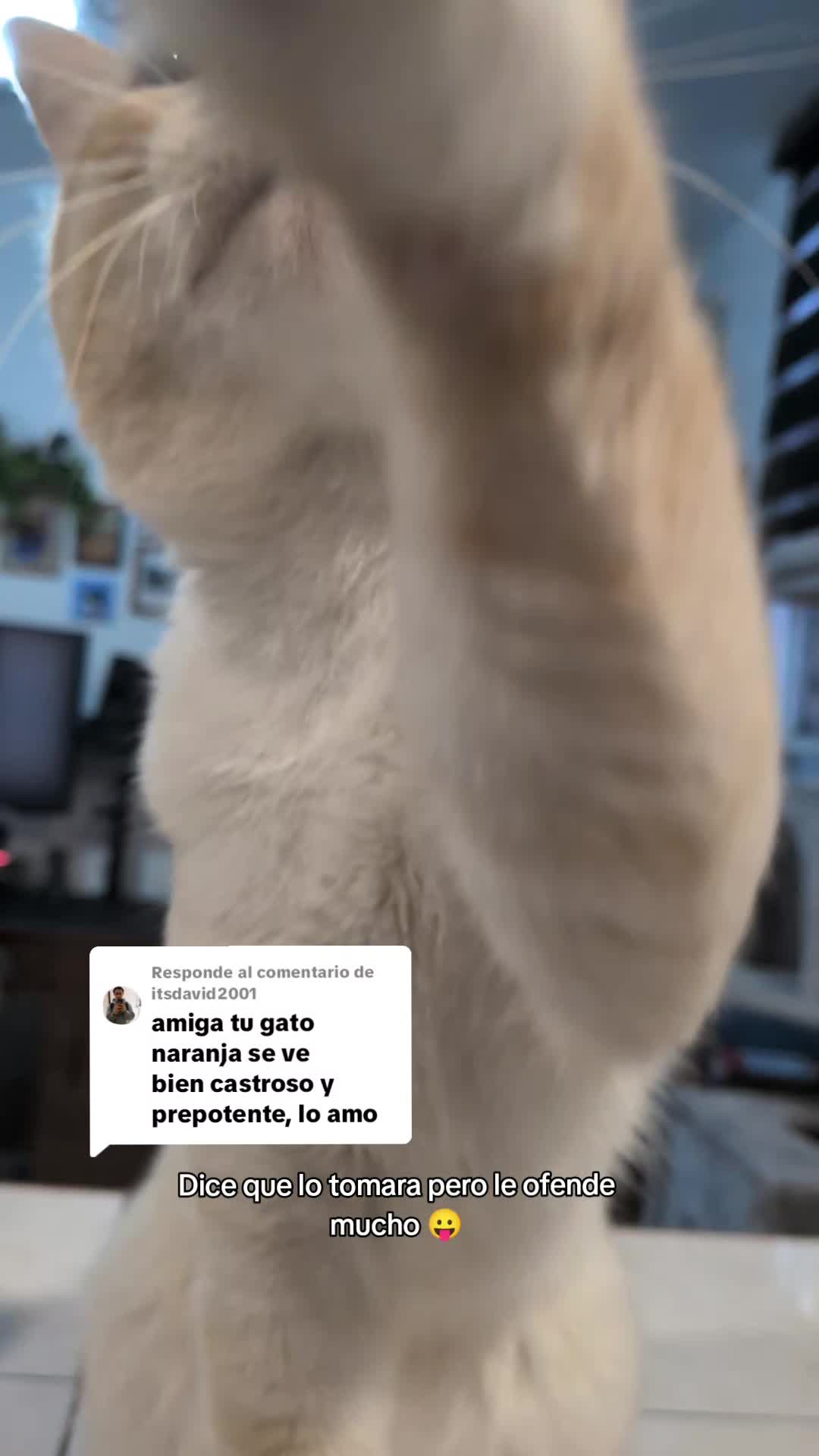 @zotemikiymar