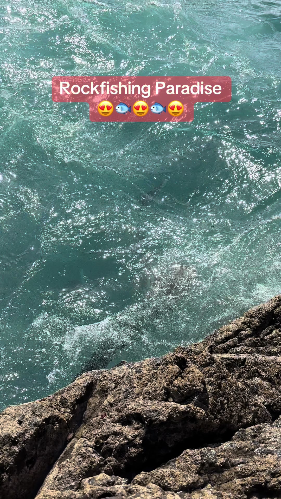 @Kodybro Nz Fishing🎣💯🏴☠️