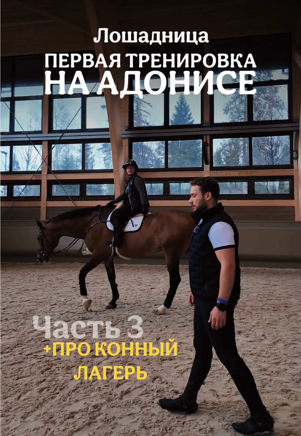 @Лошадница
