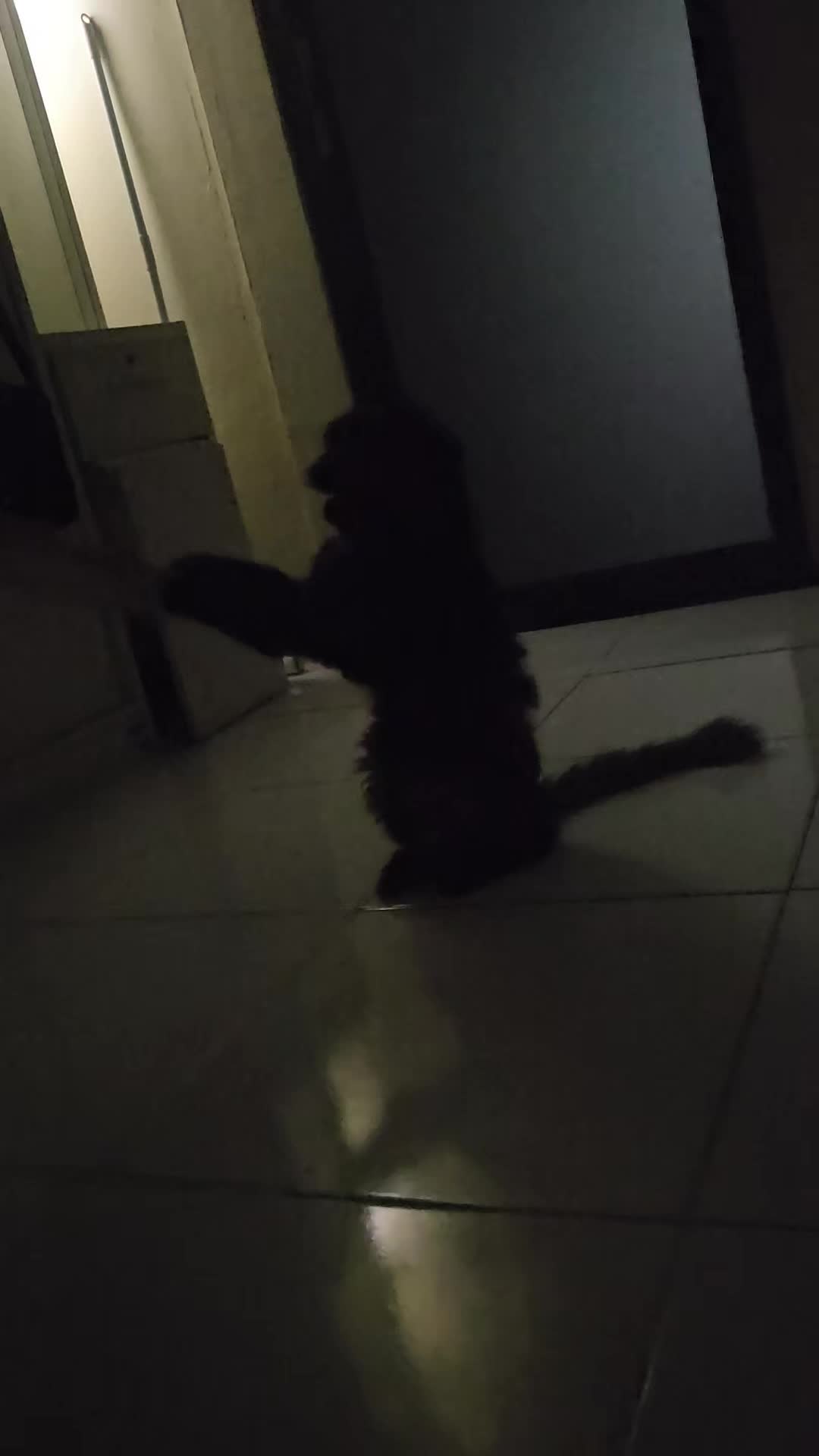 @kuro.bocil.gosong