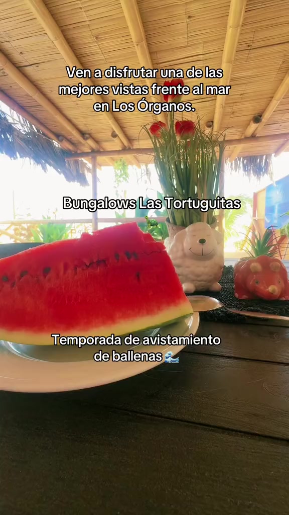 @YulyMar🌊🐚