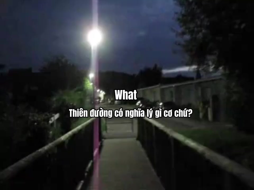 @Ly Mei