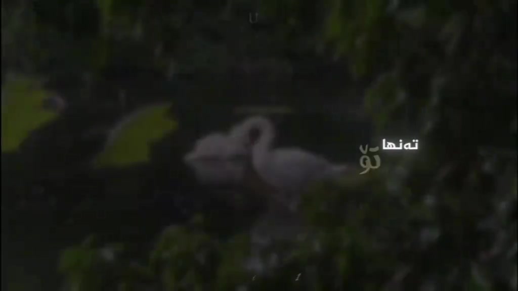 @خـەونـێـکـᬼ🦋ـᬼـ