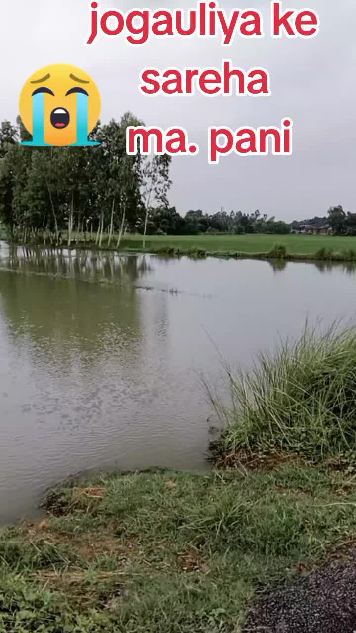 @Raju Bro 🥀🥀🌹🌹