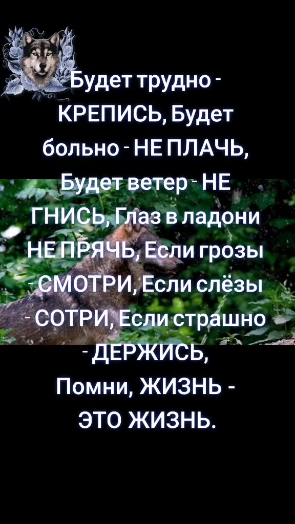 @✸Димон_Волк✸