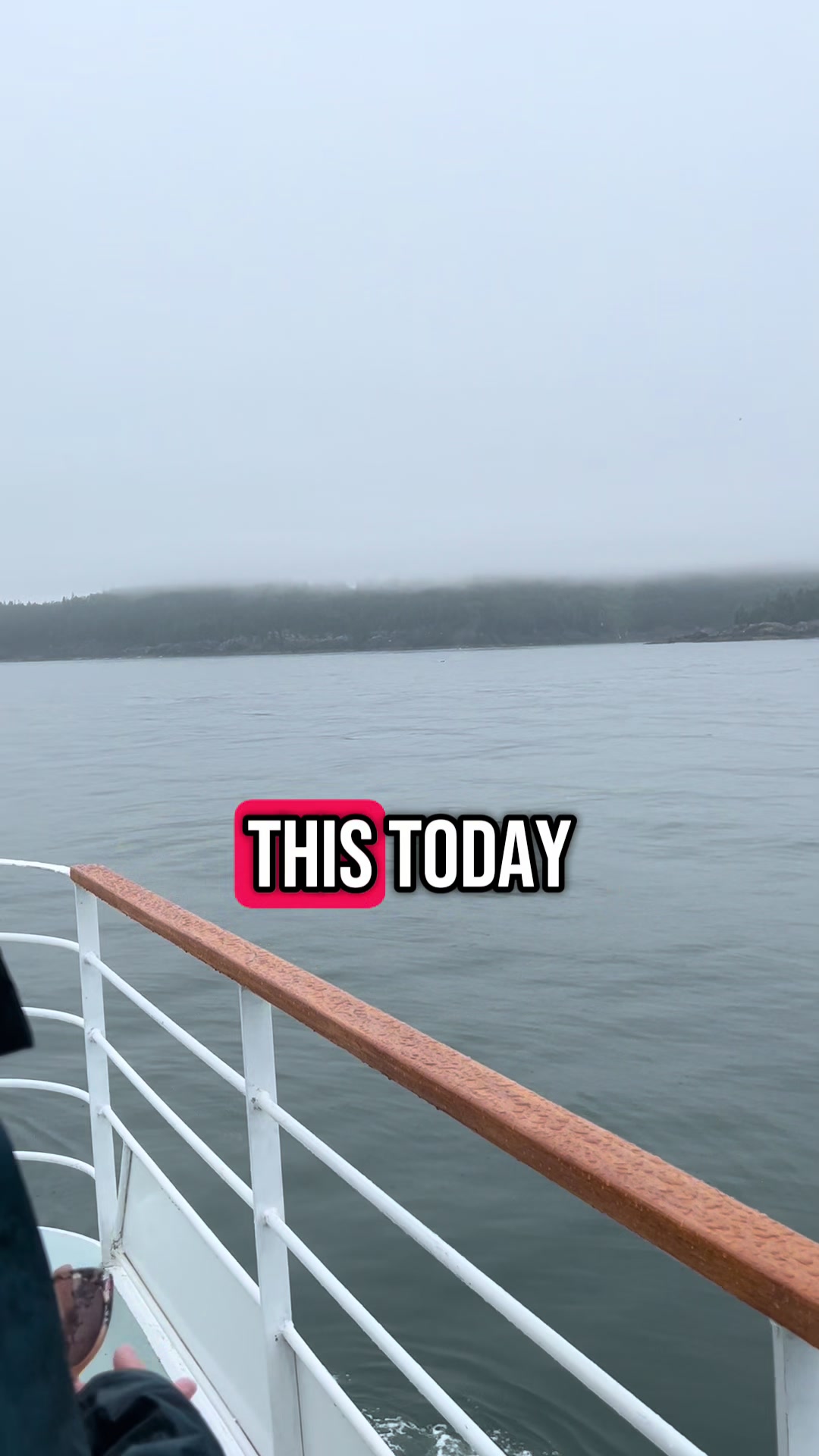 @Laddie 🇨🇦