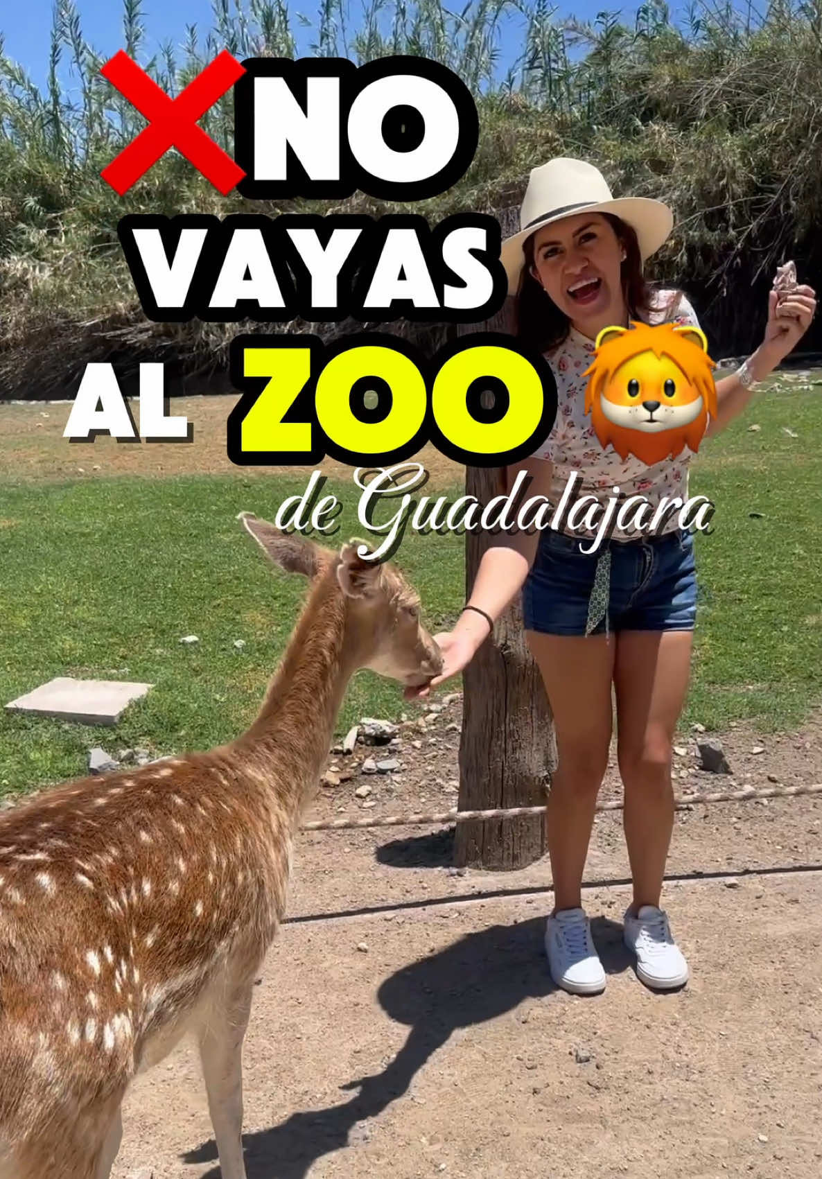 @Viajeros Digitales