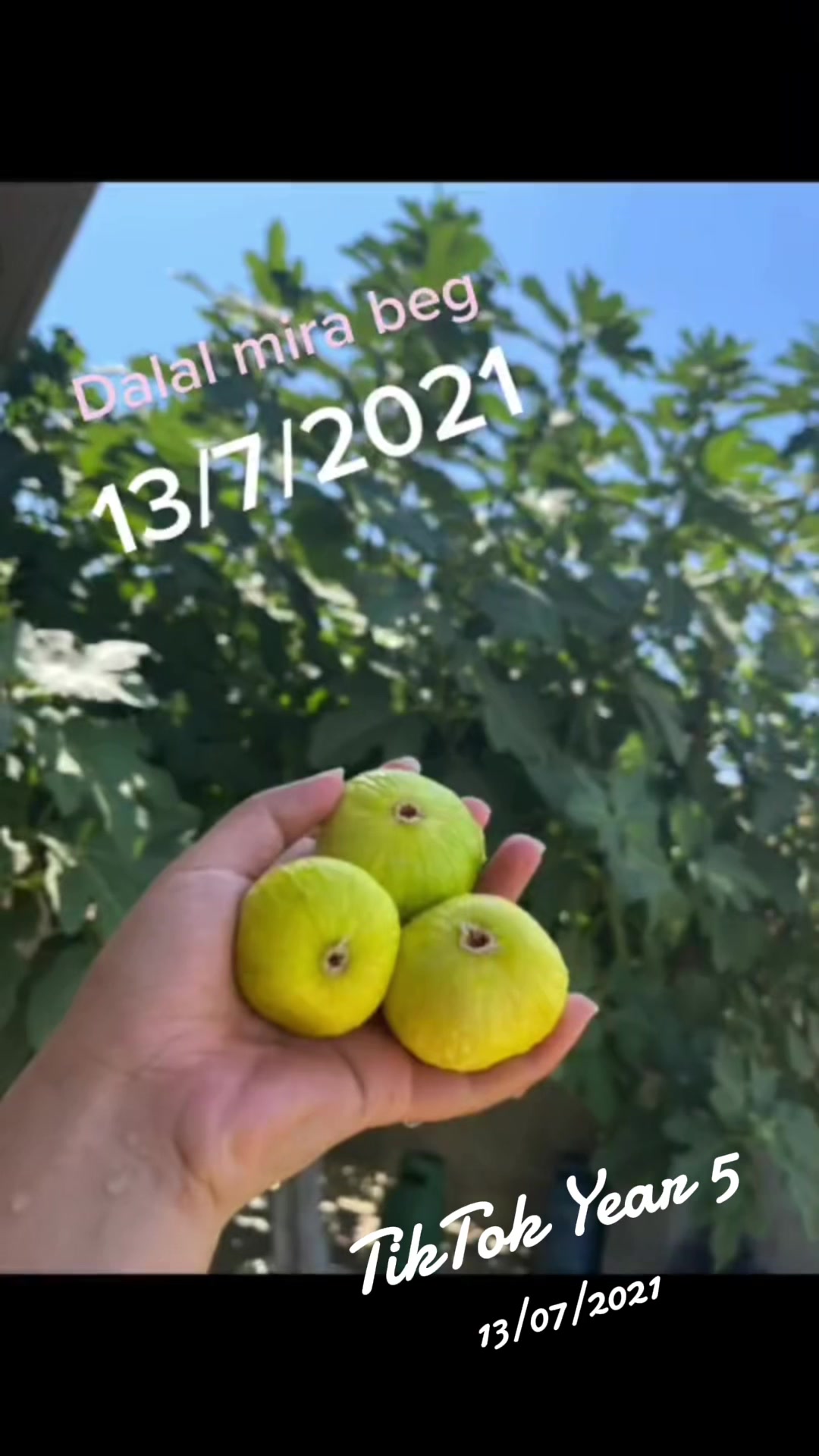 @﮼دلال🦋السورچي