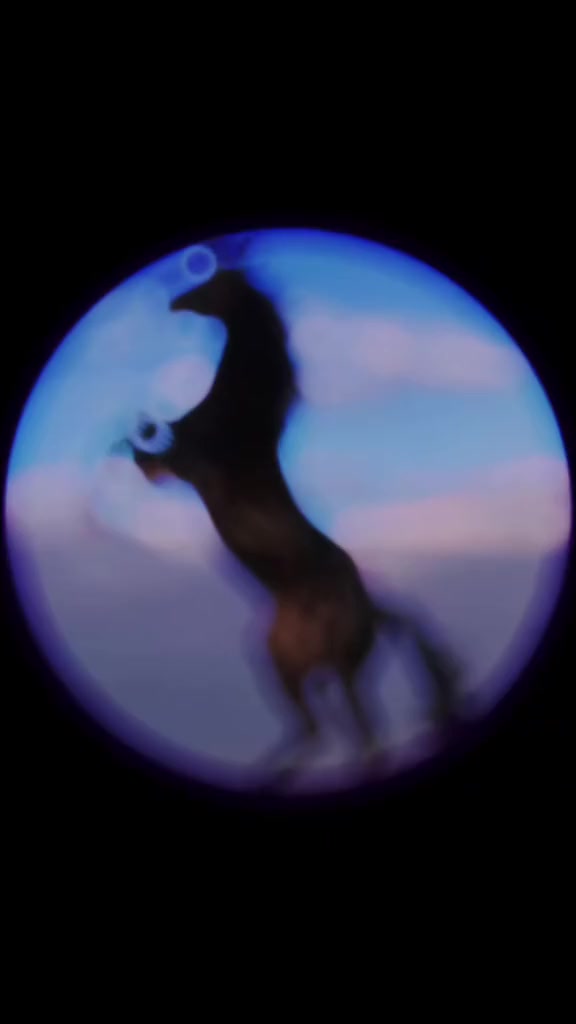 @Xon O'g'lon 🏇 🇺🇿