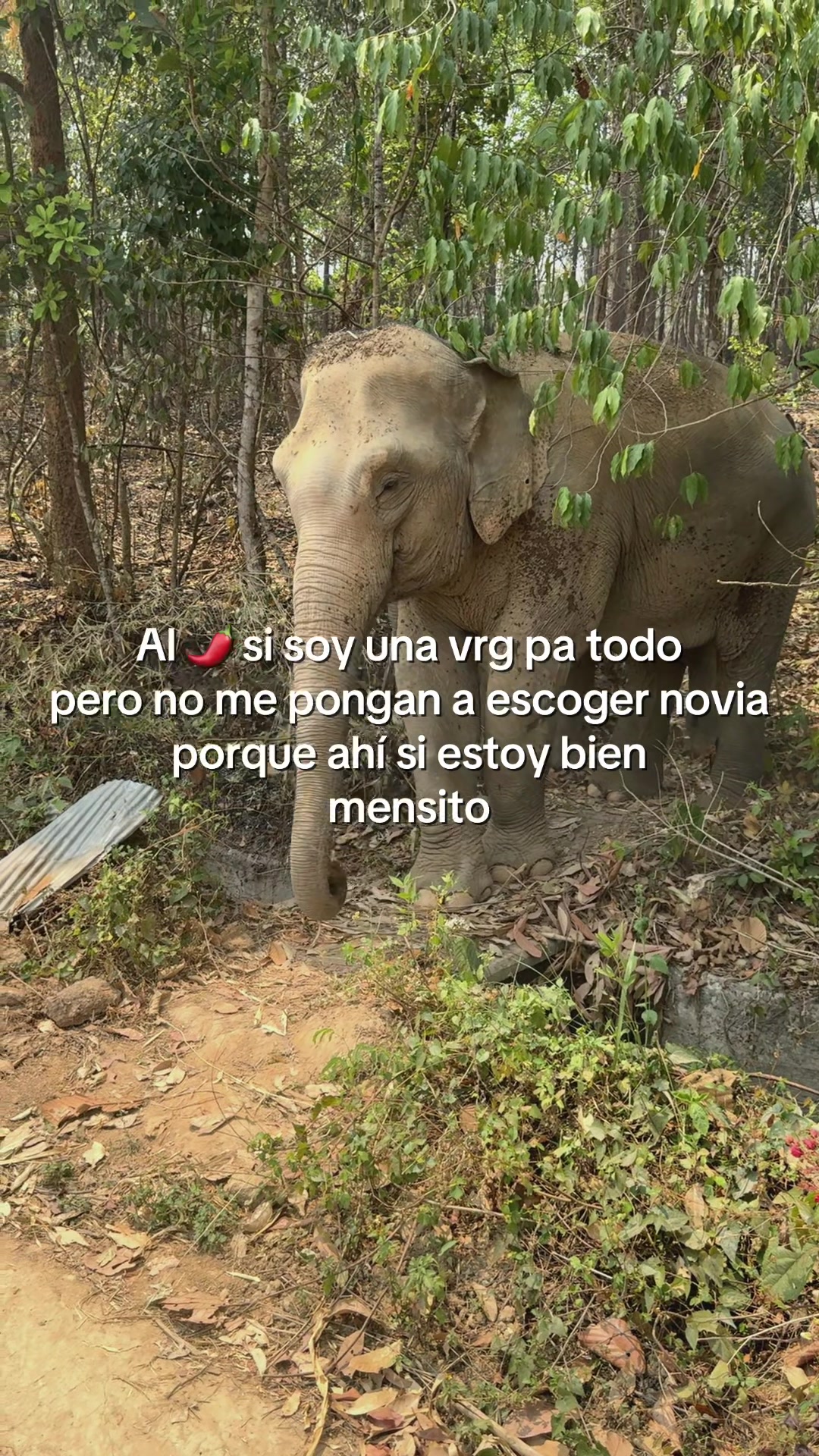 @Kevin Lira Gracia
