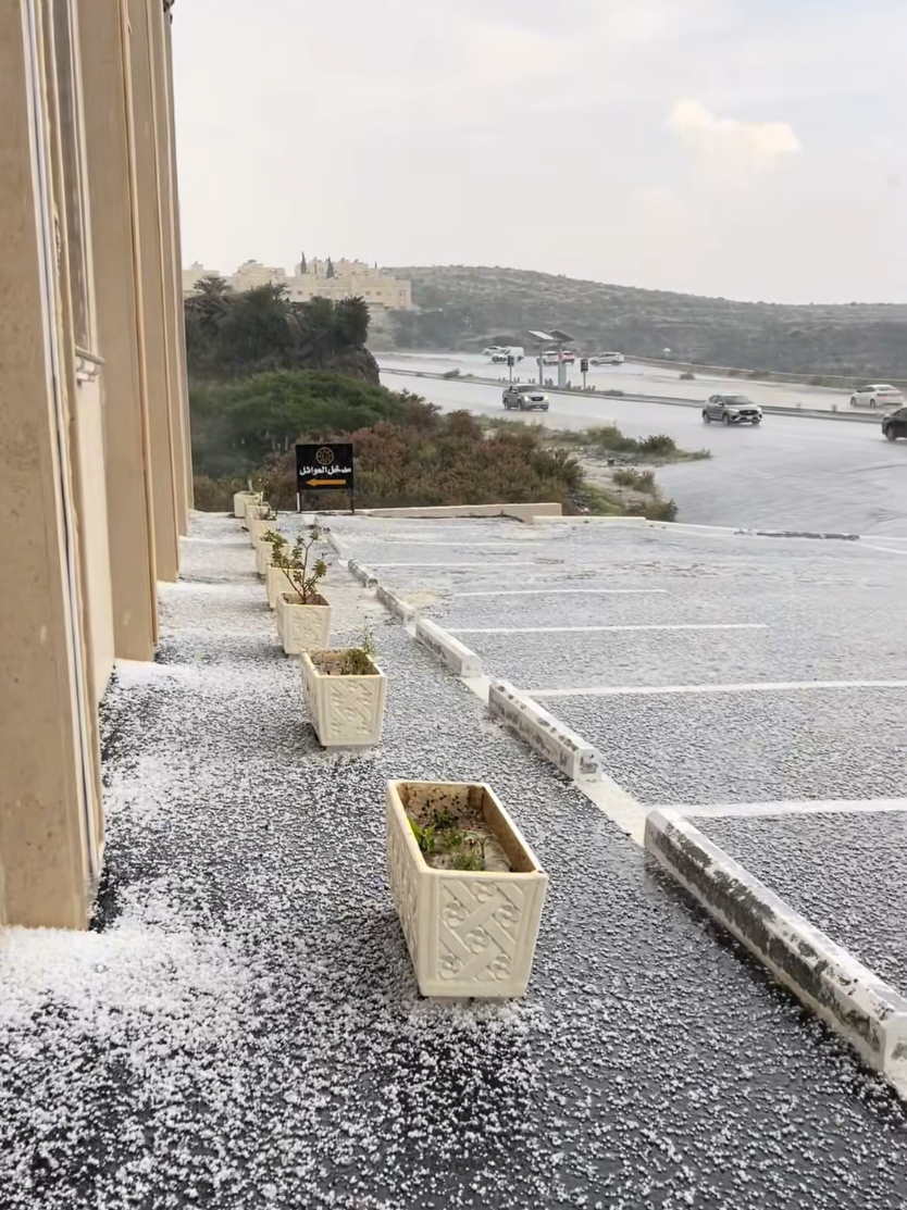 @آبووسآم برق آلَساحل⚡️⛈️