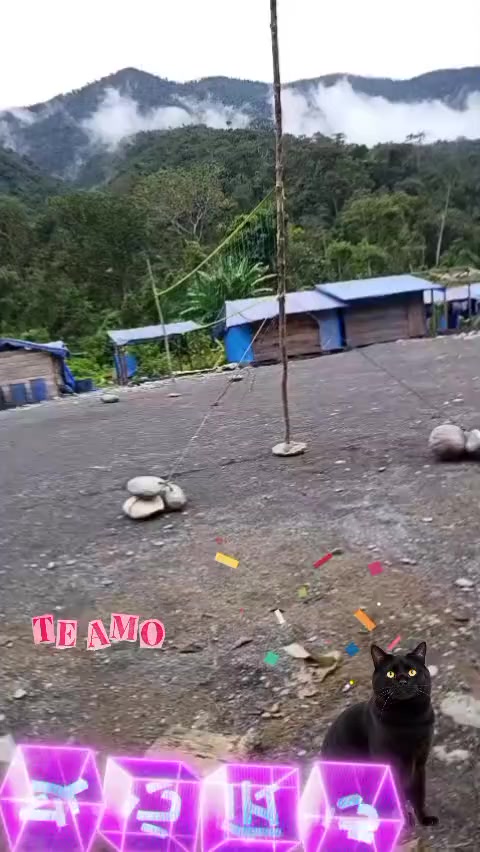 @❤️ chinita 💓💕