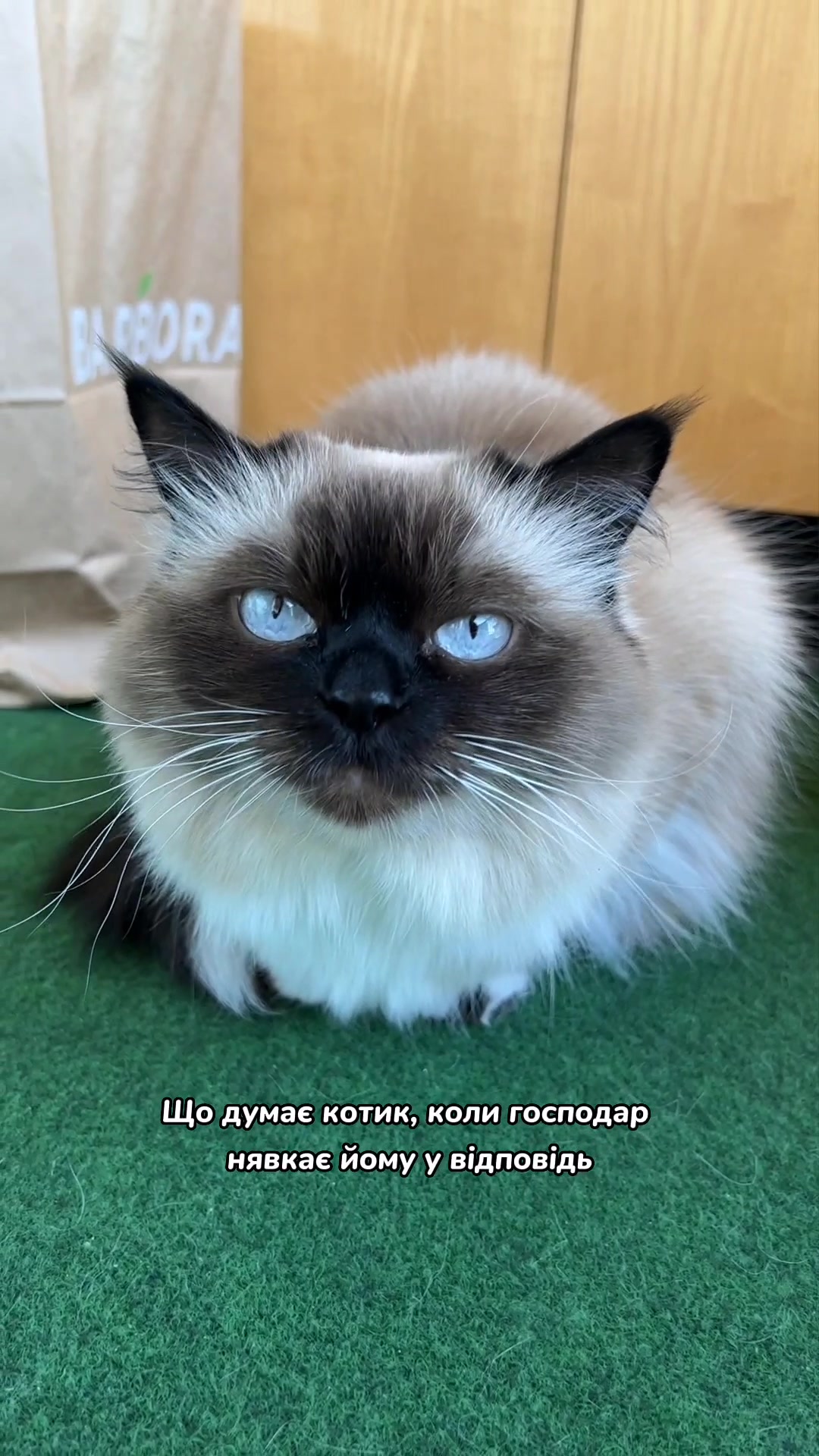 @Місс КІСЯ