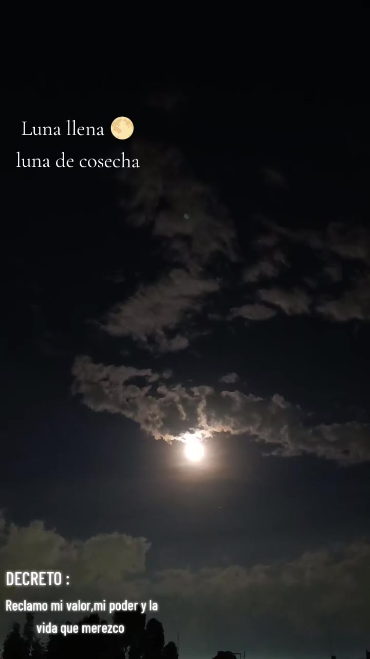 @♡ elvyh2o ♡👑 ♈🌙✨