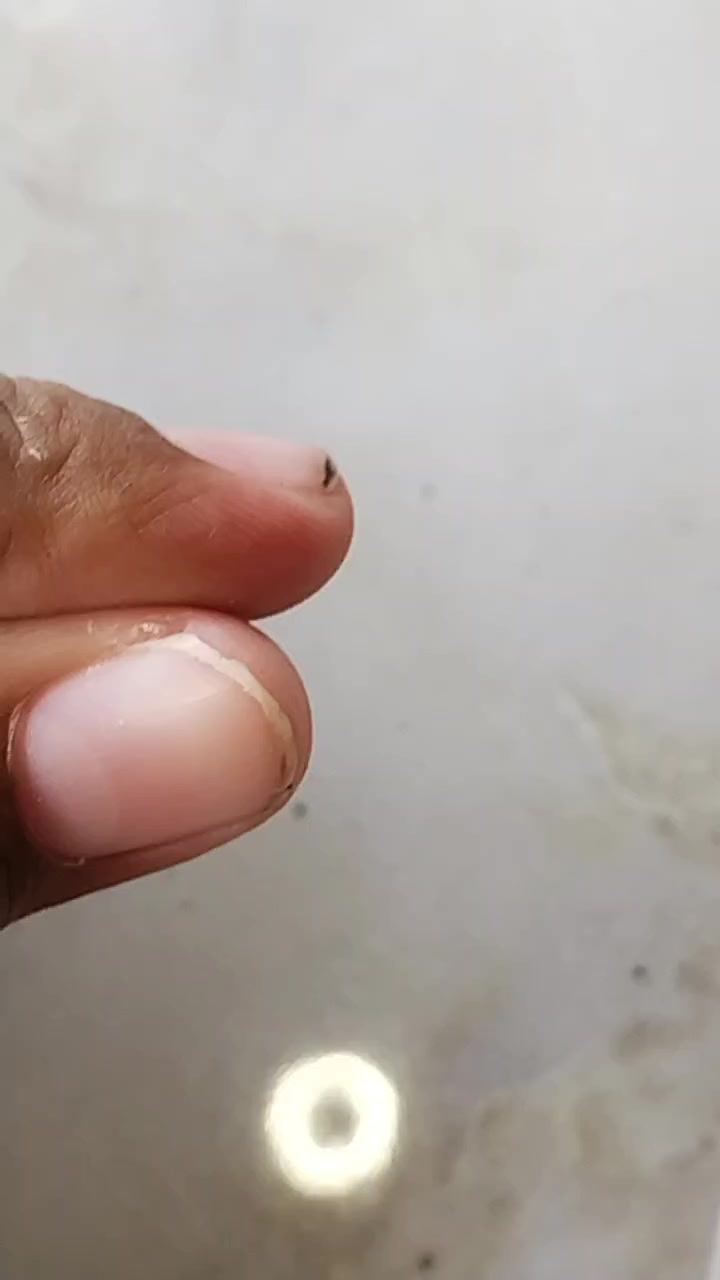 @ipanbae4