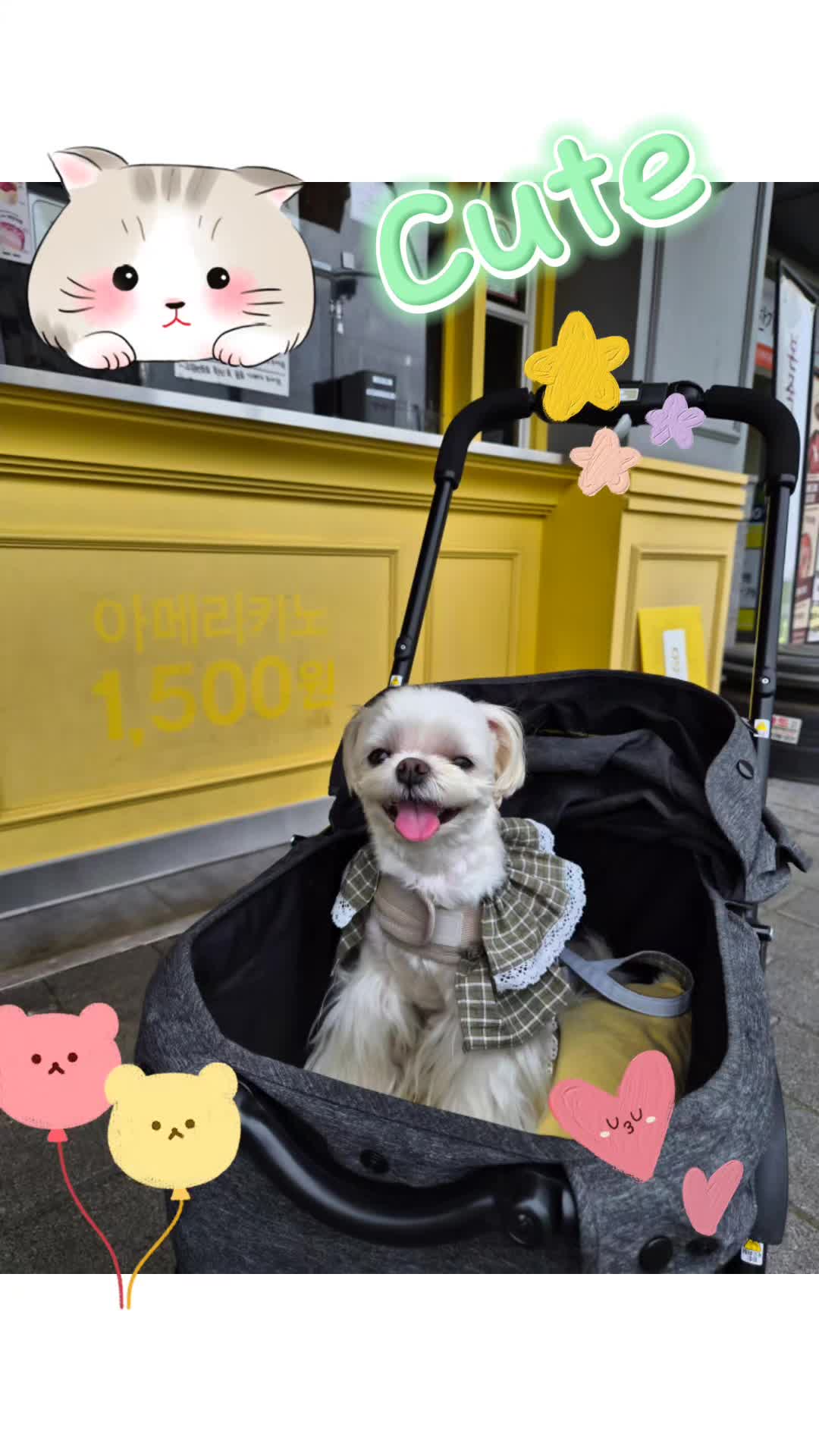@벼리♡♡♡