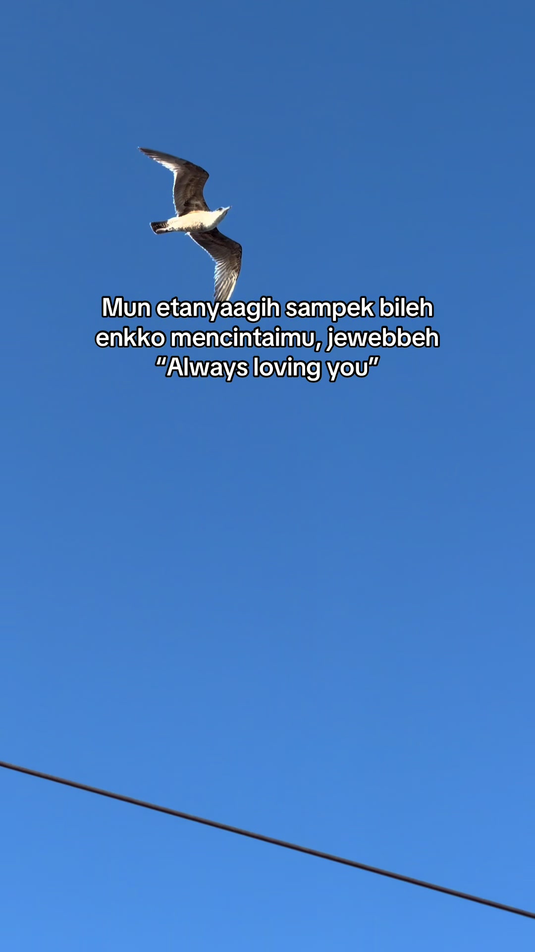 @Efendi yusuf🇮🇩