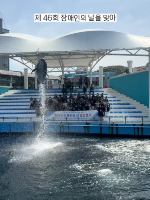 @DolphinTok