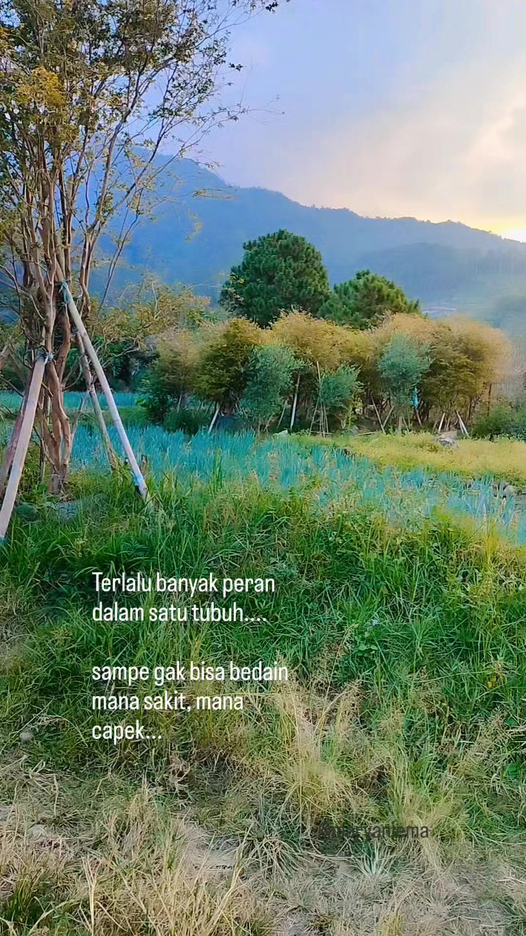 @mamih endut