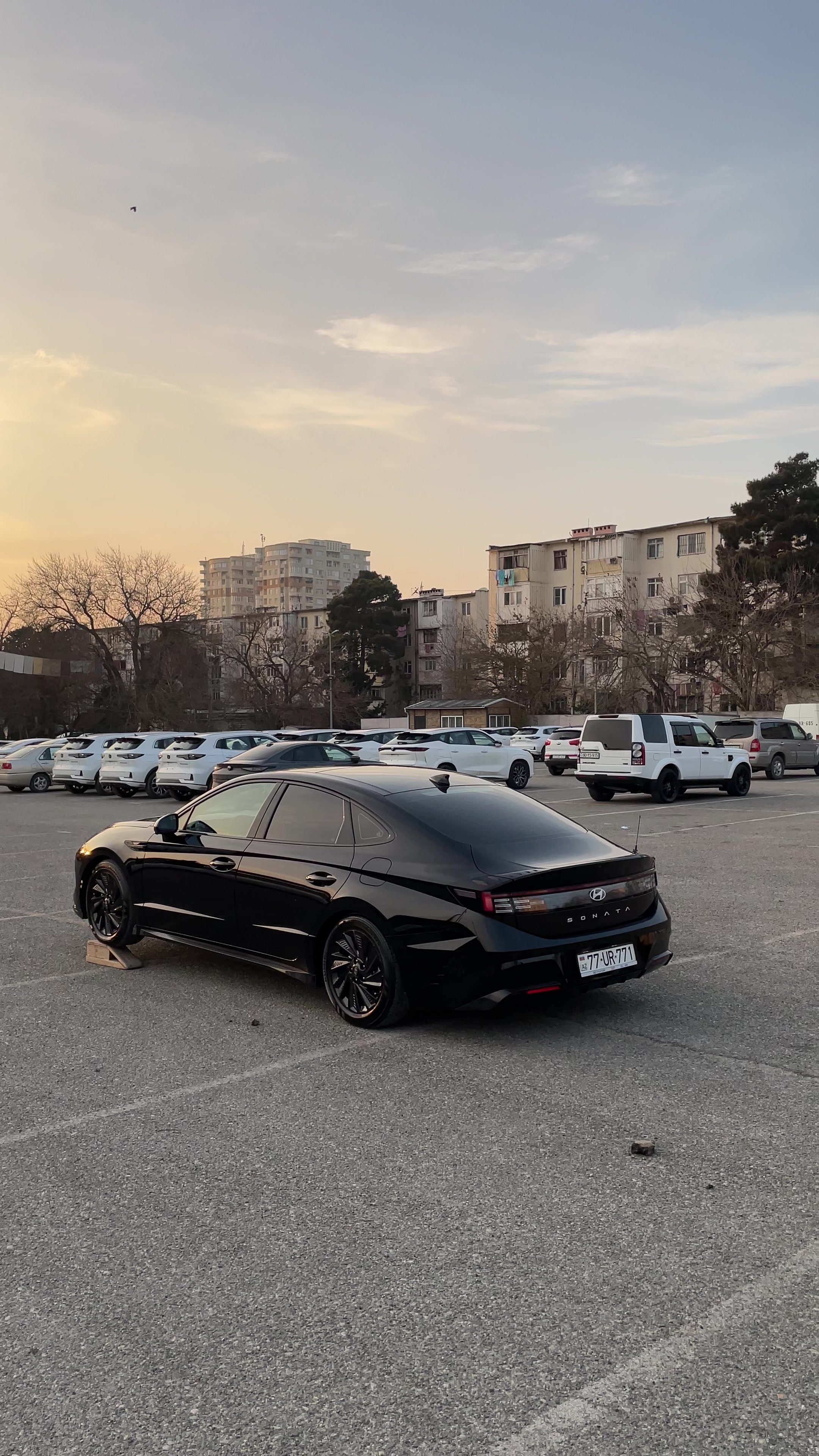 @𝐜𝐚𝐫𝐝𝐢𝐧𝐚𝐥