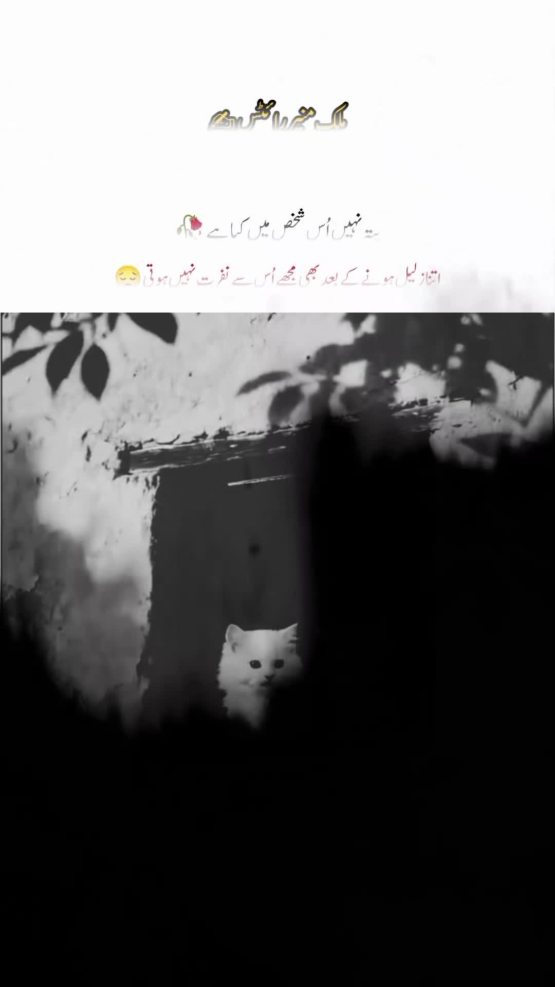 @تنہائی پسند🥂