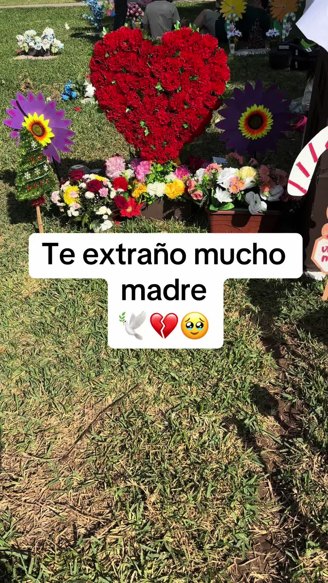 @Esmeralda Ramos