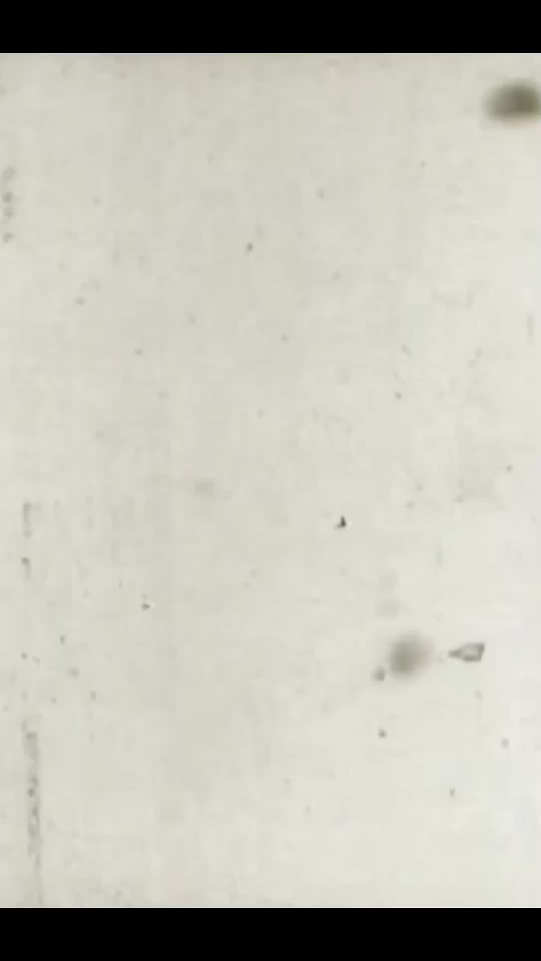 @nslanzas