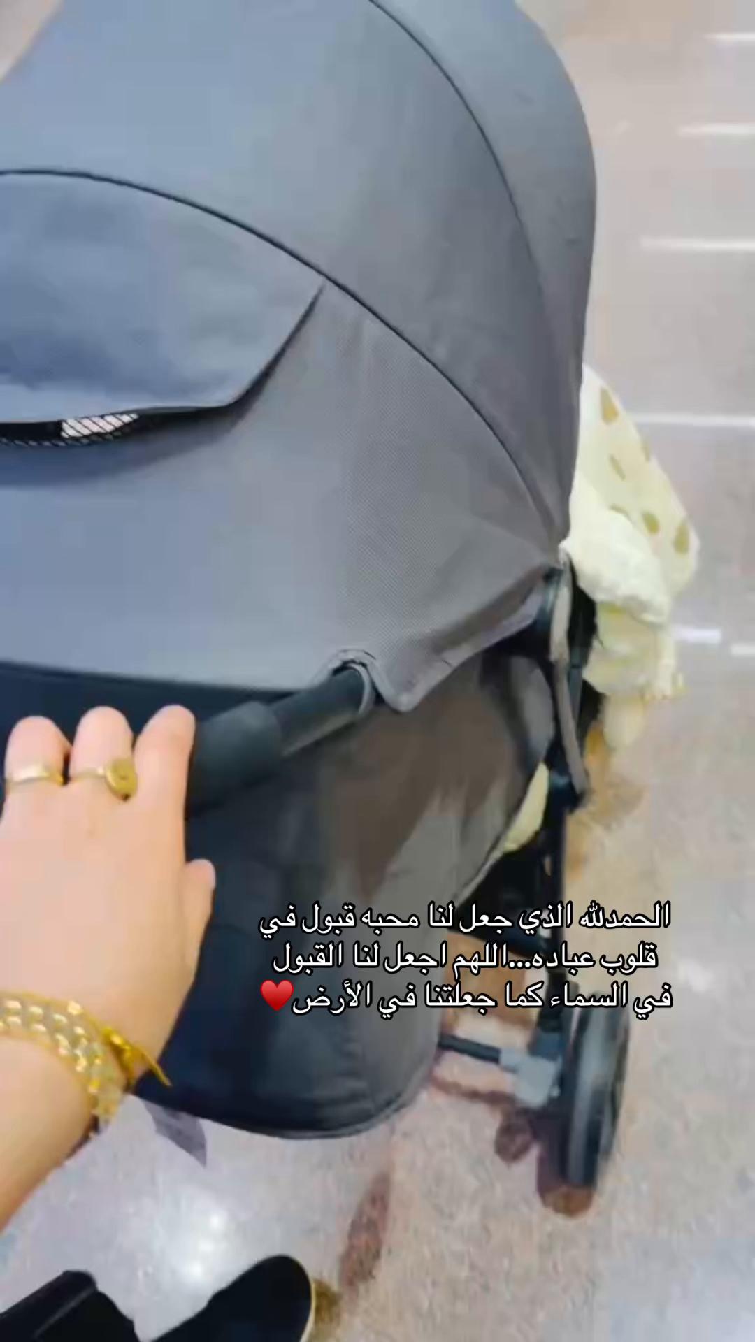 @areegmohammed97
