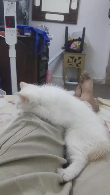 @ঝরা পাতা