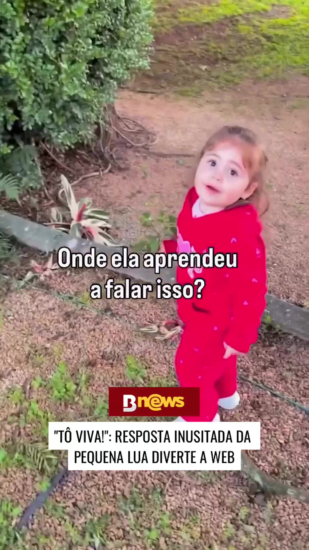 @BNews - Portal de not&iacute;cias