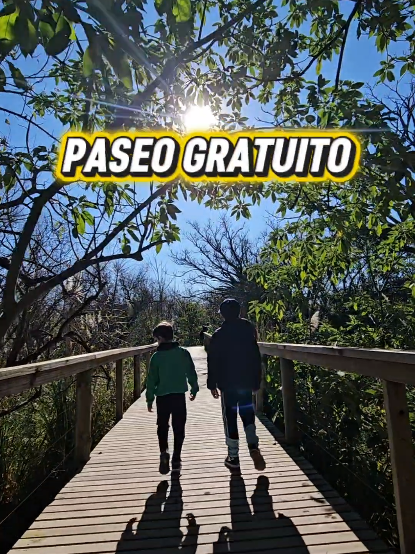 @vivodepaseo