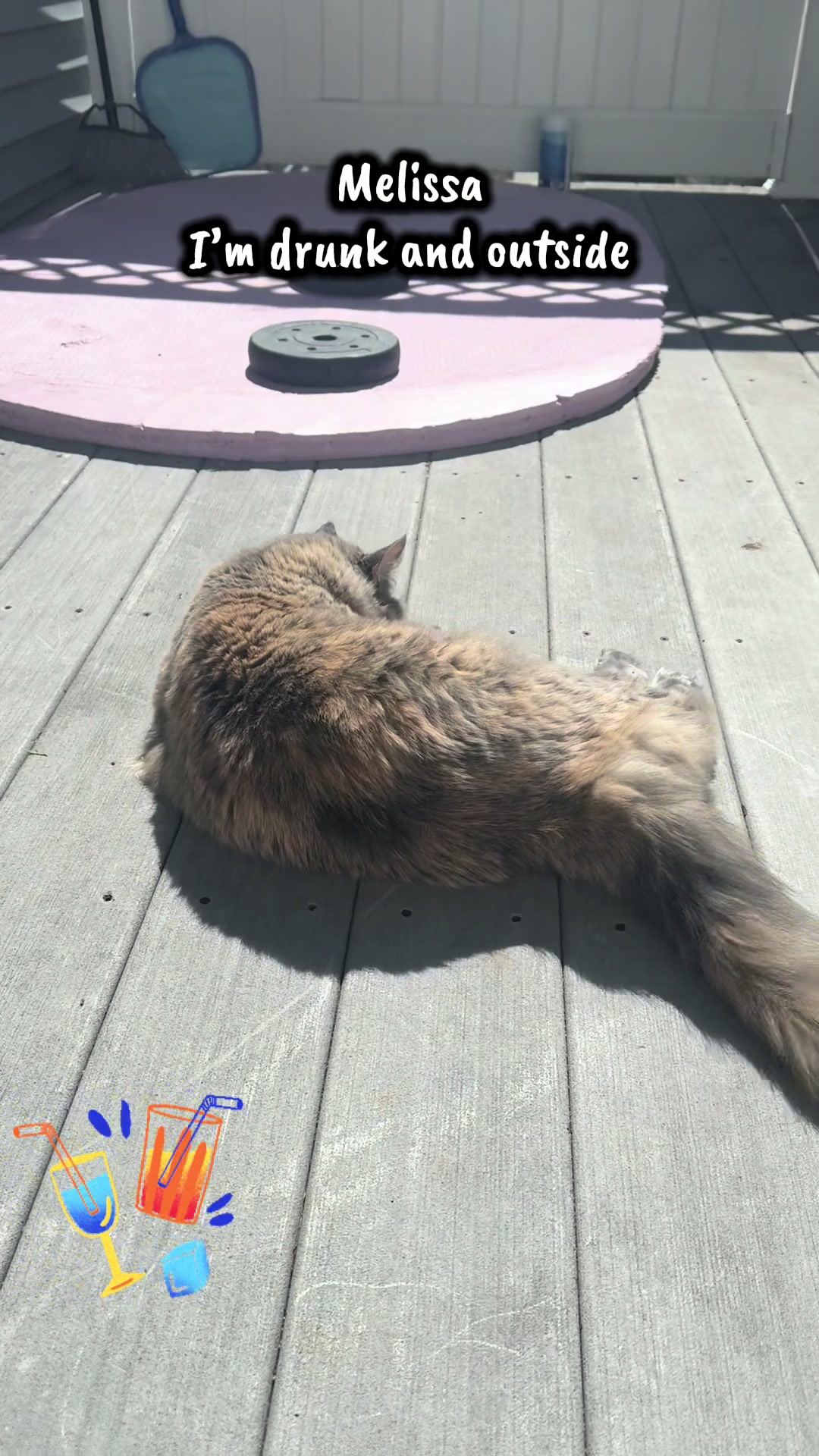 @TailsandWhiskersCo