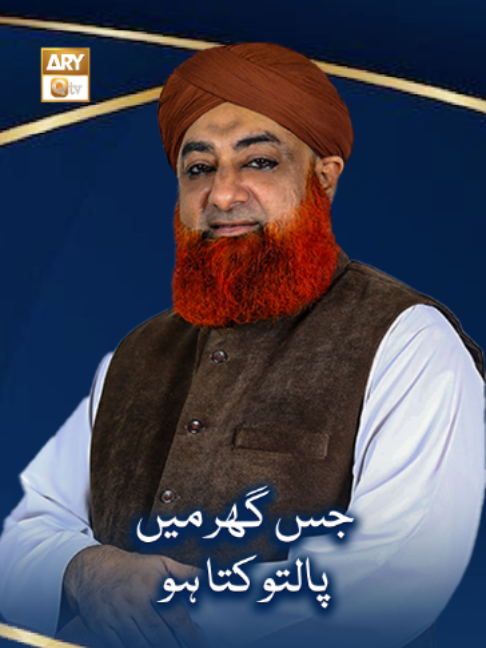 @ARY Qtv