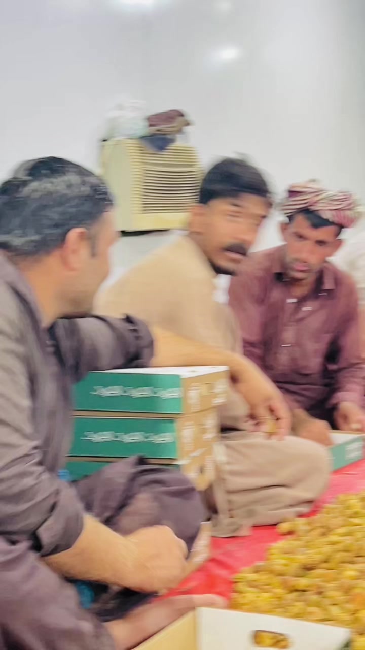 @سردار جیدی جندانی