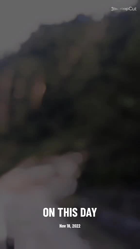 @TigerLeo0