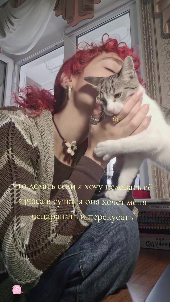 @°˖✧софиш✧˖°