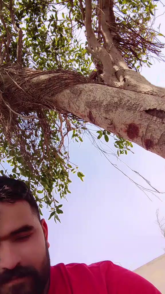 @tanvirjoyia4