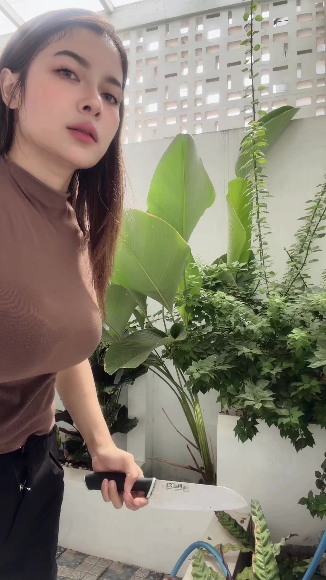 @🐣
