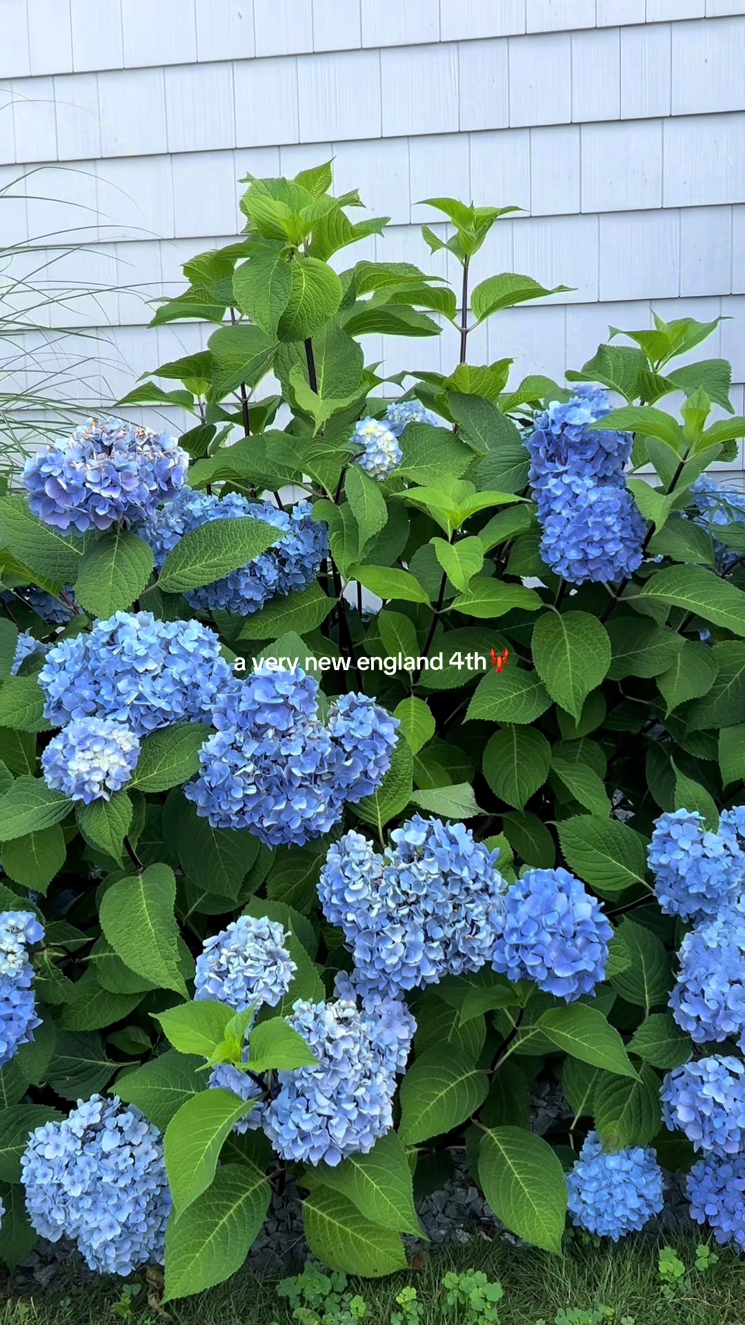 @Ri