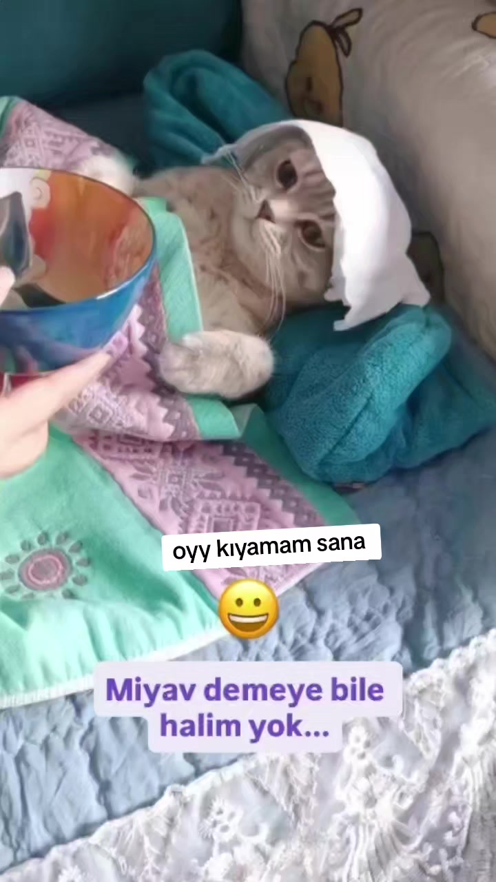 @gamzeli kızı 😊 minnoşlari