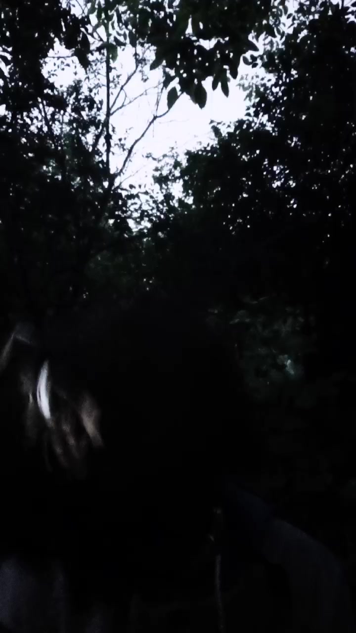 @⦻ 𝐼𝑟𝑖𝑠⦻~