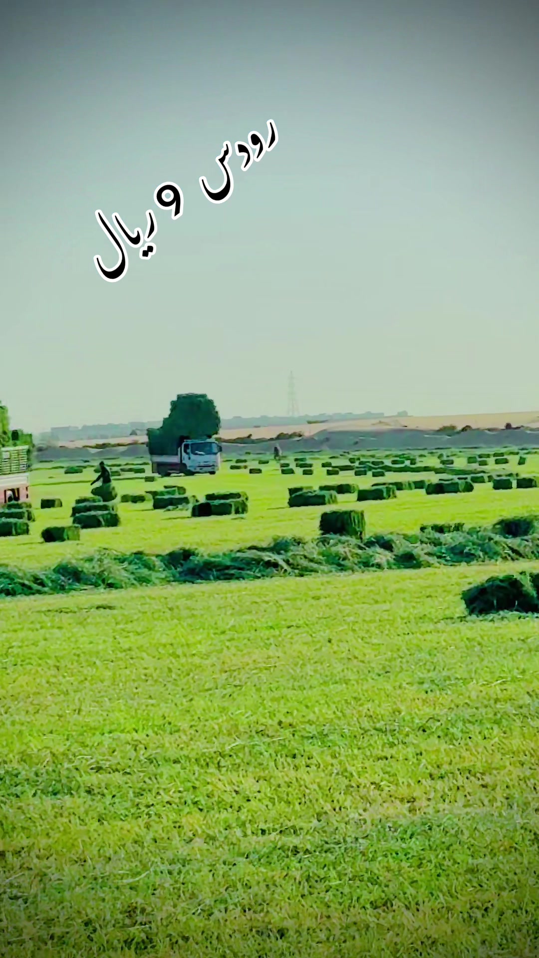 @Afsar ali🦅🌹🇵🇰