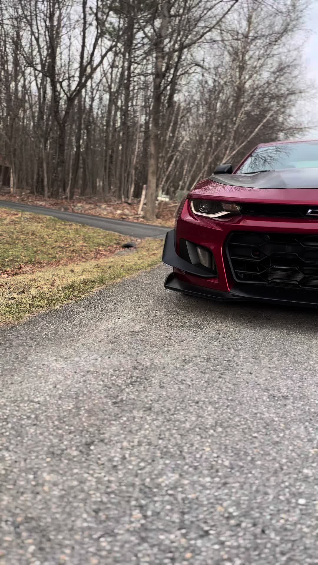 @VR ZL1
