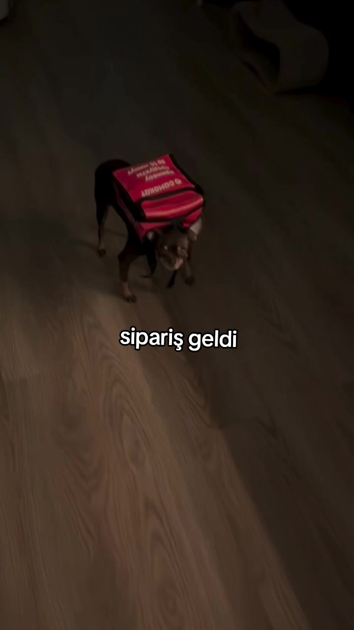 @rolland