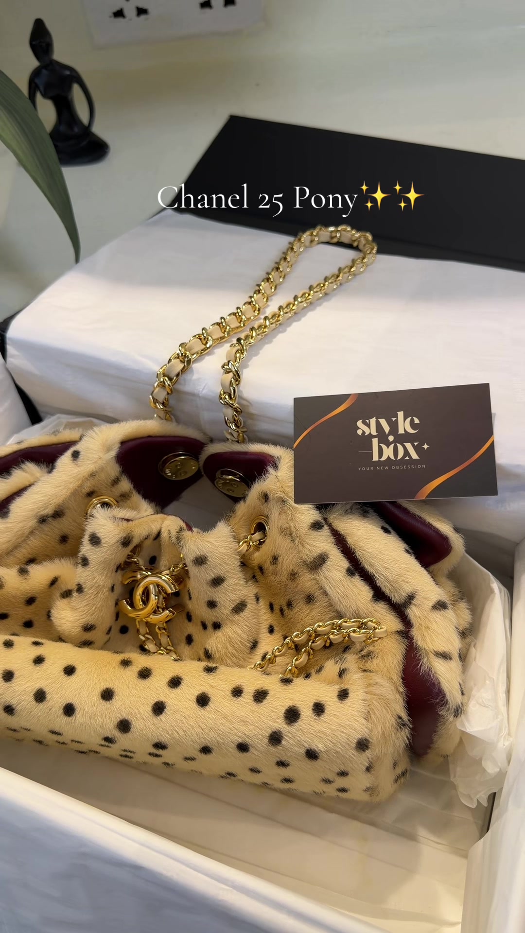 @Stylebox.ng