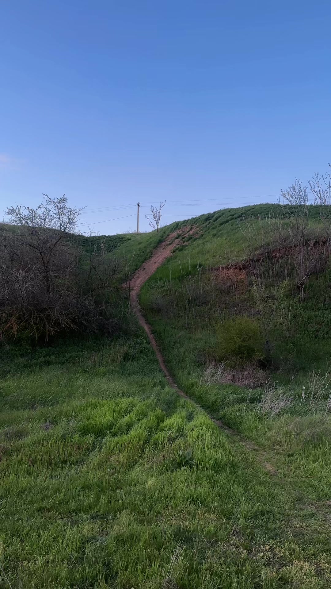 @Zavtur🇦🇱