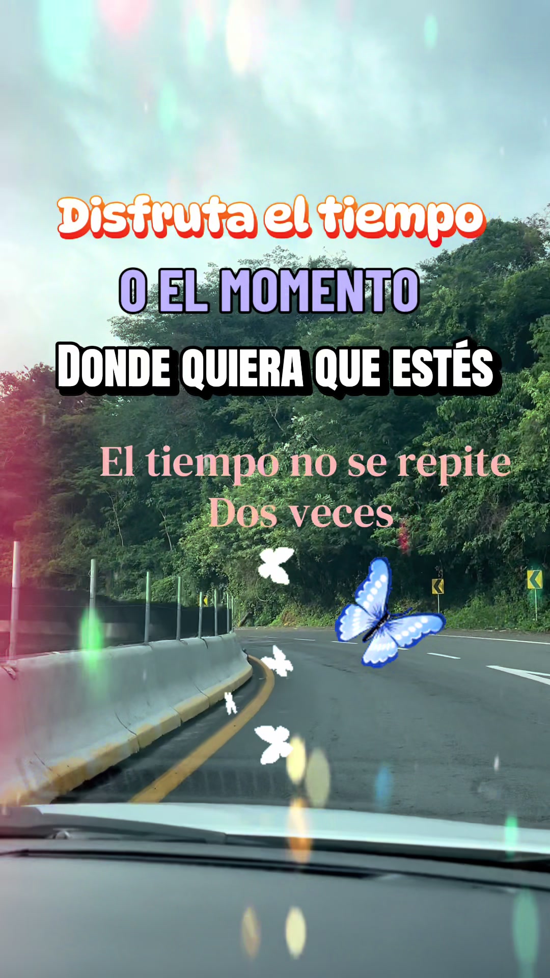 @almayoss1