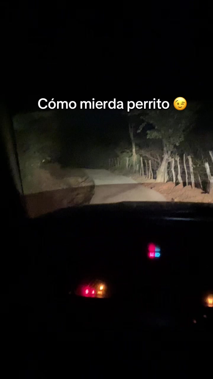 @EL SEQUE🔥