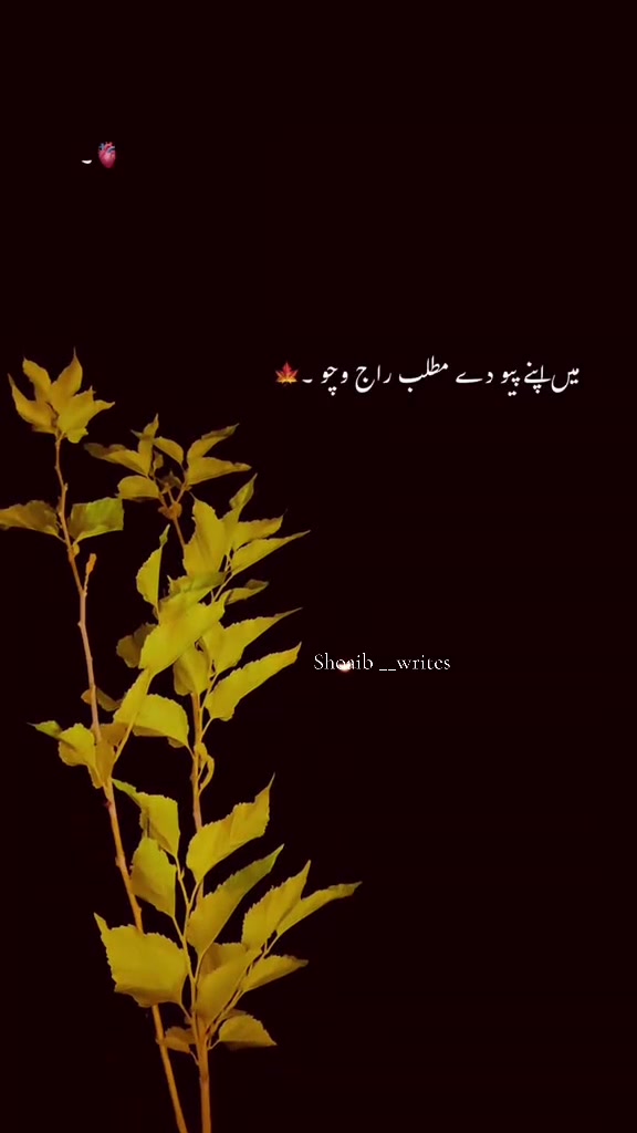 @Official__Account