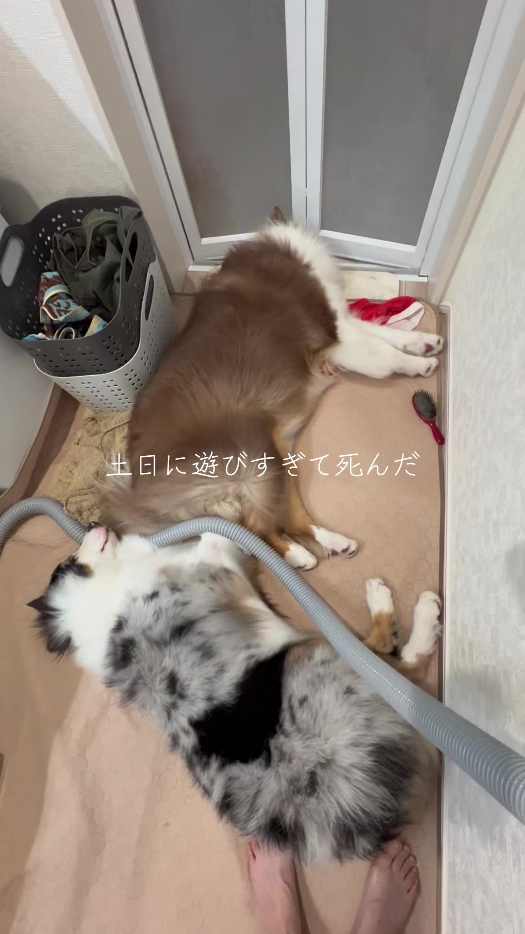 @サン&タマ